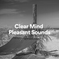 Clear Mind Pleasant Sounds