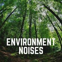Environment Noises
