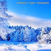 Frosty Day Sounds