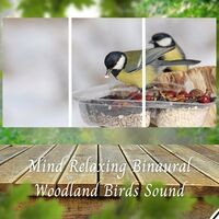 Mind Relaxing Binaural Woodland Birds Sound - 2 Hours