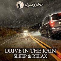 Night Drive in the Rain