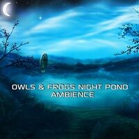 Owls & Frogs Night Pond Ambience