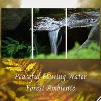 Peaceful Flowing Water Forest Ambience