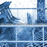 Relaxing Dishwasher Sounds