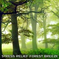 Stress Relief Forest Breeze