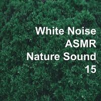 White Noise ASMR Nature Sound 15