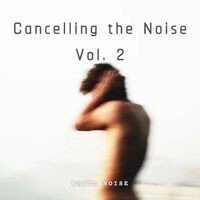 White Noise: Cancelling the Noise Vol. 2