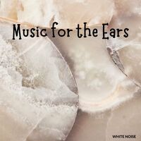 White Noise: Music for the Ears