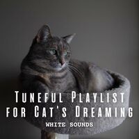 White Noise: Tuneful Playlist for Cat's Dreaming