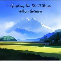 Symphony No. 80, D Minor, Allegro Spiritoso