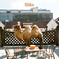 Wilco [the album]