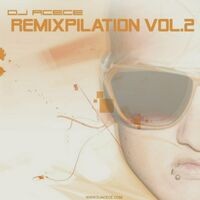 Remixpilation vol.2