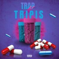 Trap N Tripis