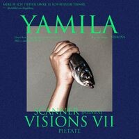 Visions VII (Scanner remix)