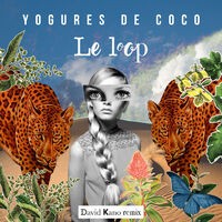 Le Loop (David Kano Remix)
