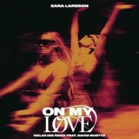 On My Love (feat. David Guetta) (Niklas Dee Remix)