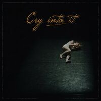 Cry into it (Instrumental Version)