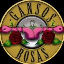 Gansos Rosas en Bilbao