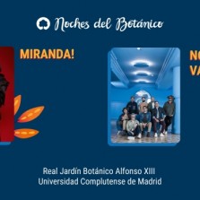 Miranda en Madrid
