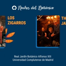 Los Zigarros, The Jayhawks en Madrid