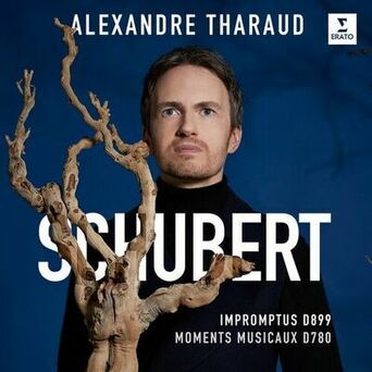 Schubert: 4 Impromptus, D. 899 & 6 Moments musicaux