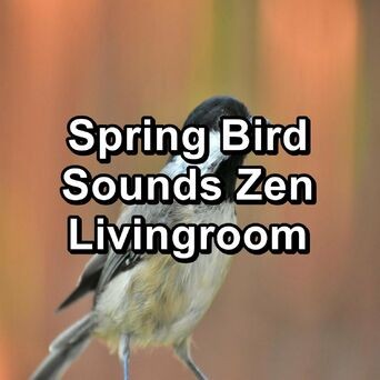 Spring Bird Sounds Zen Livingroom