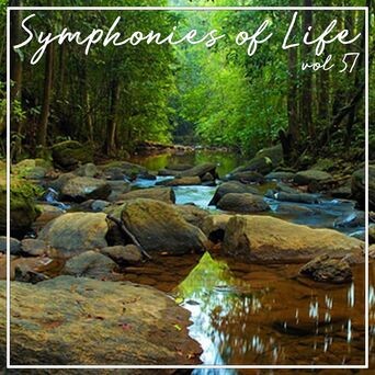 Symphonies of Life, Vol. 57 - Carulli: Guitar Concertos