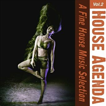 House Agenda, Vol. 2 - a Fine House Music Selection (Compilation)