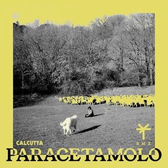 Paracetamolo (TY1 Remix)