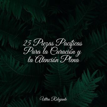 25 Piezas Pacíficas Para la Curación y la Atención Plena