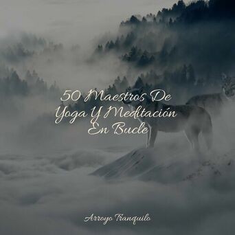 50 Maestros De Yoga Y Meditación En Bucle
