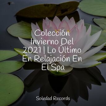 Colección Invierno Del 2021 | Lo Último En Relajación En El Spa