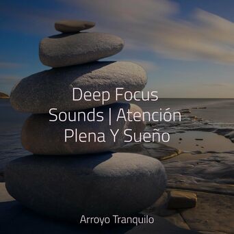 Deep Focus Sounds | Atención Plena Y Sueño