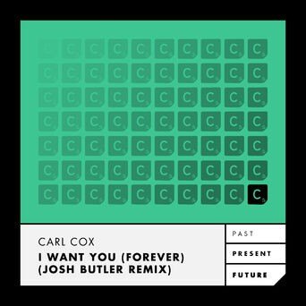 I Want You (Forever) (Josh Butler Remix)