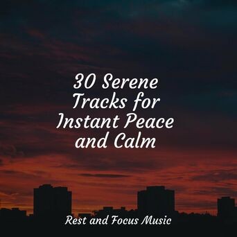 30 Serene Tracks for Instant Peace and Calm
