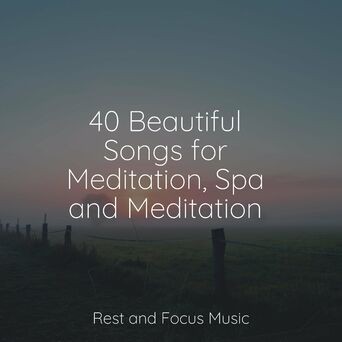 40 Beautiful Songs for Meditation, Spa and Meditation