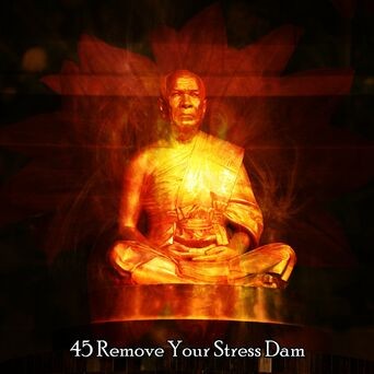45 Remove Your Stress Dam