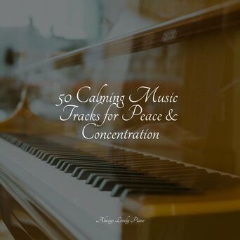 50 Calming Music Tracks for Peace & Concentration