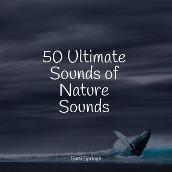 50 Ultimate Sounds of Nature Sounds