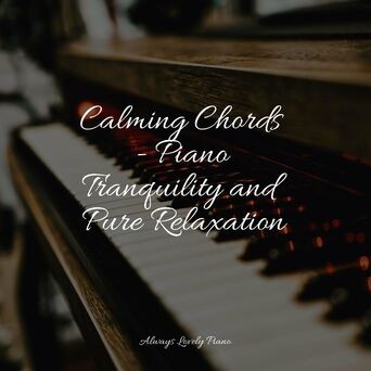Calming Chords - Piano Tranquility and Pure Relaxation
