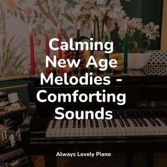 Calming New Age Melodies - Comforting Sounds