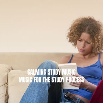Calming Study Music: Music for the Study Process