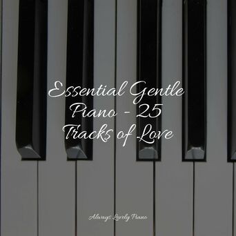 Essential Gentle Piano - 25 Tracks of Love