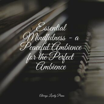 Essential Mindfulness - a Peaceful Ambience for the Perfect Ambience
