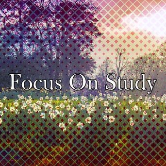 Focus On Study
