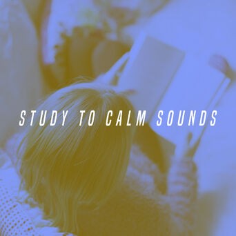 Study To Calm Sounds