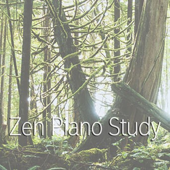 Zen Piano Study