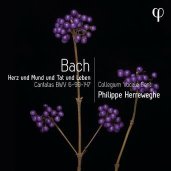 Herz und Mund und Tat und Leben - Bach: Cantatas BWV 6-99-147