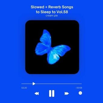 Slowed + Reverb Songs to Sleep to Vol.58