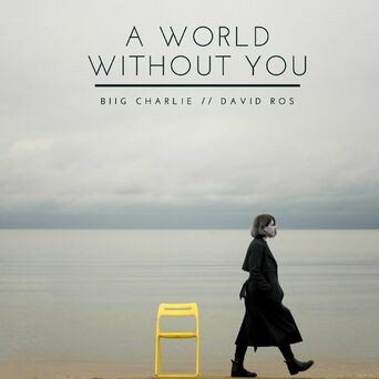 A World Without You